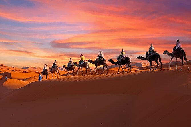 2-Day Tunisia Sahara Desert Camel Trek from Douz - Leaving Douz for the open Sahara
