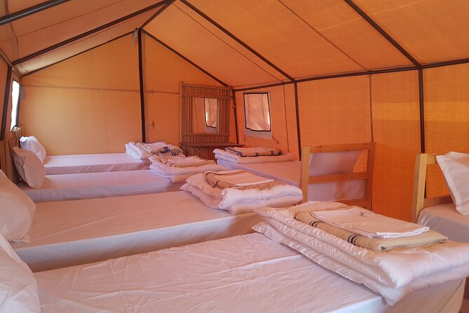 2-Day Tunisia Sahara Desert Camel Trek from Douz - Lunch beneath the dunes