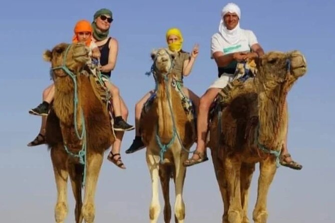 2 Days Tour of the Sahara from Hammamet - What this Hammamet to Sahara trip is really like