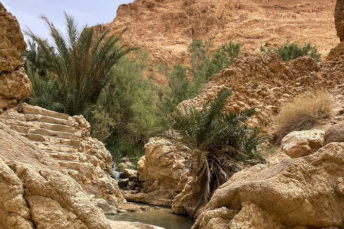 2 Days Tour of the Sahara from Hammamet - Chebika brings water into the desert