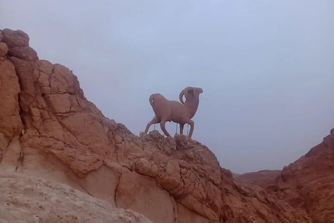 2 Days Tour of the Sahara from Hammamet - Matmata puts real homes beside movie history