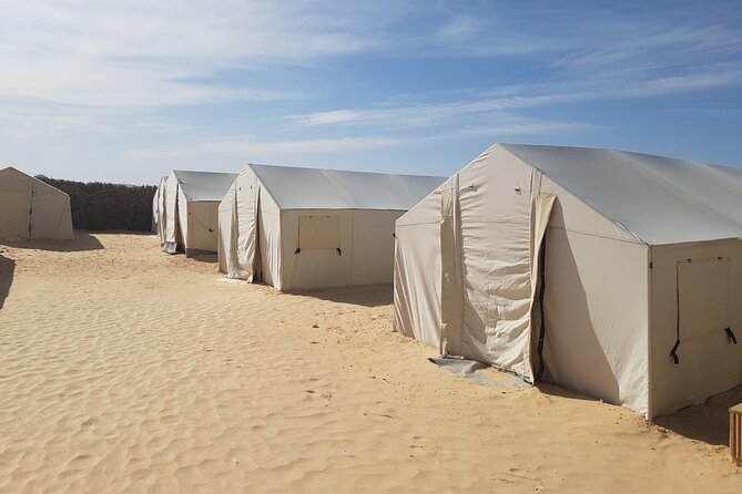 3-Day Tunisia Sahara Desert Camel Trek from Douz - What the $270 price really covers