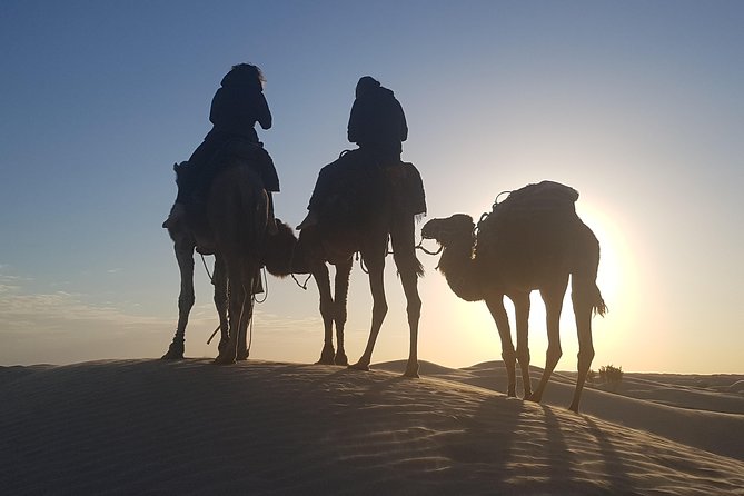 3-Day Tunisia Sahara Desert Camel Trek from Douz - Who will enjoy this Sahara trip most