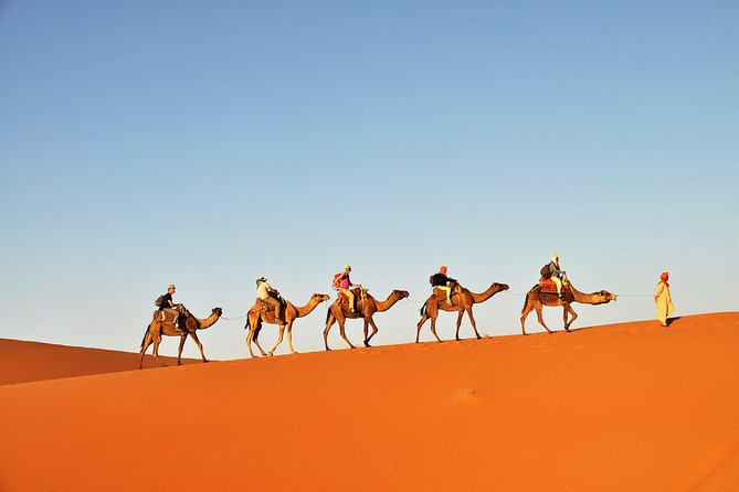 3-Day Tunisia Sahara Desert Camel Trek from Douz - Day two: sunrise, local cooking, and sunset from the dunes