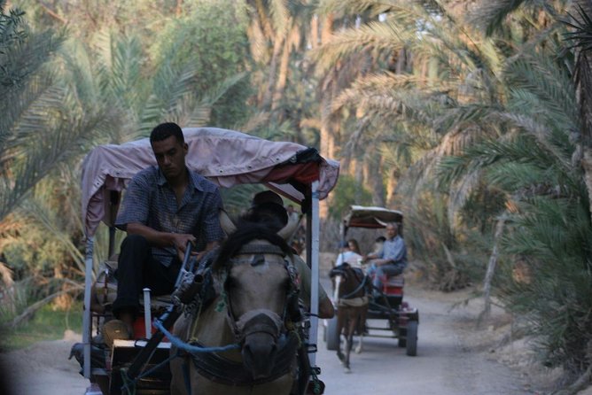 3DAYS 4x4 safari from Sousse/Hammamet/Tunis 100km deep in desert camp - Day one: El Jem, Matmata, and Berber hill country