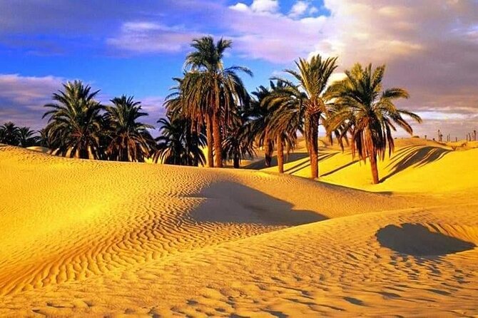 4-Day Private Tour: Sahara and Djerba Island from Tunis and Hammamet - Meals, admissions, and the real price