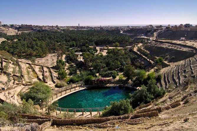 4 Days Tunisia Discovery Private Tour - The Private Format, Guide Interaction, and Road Time