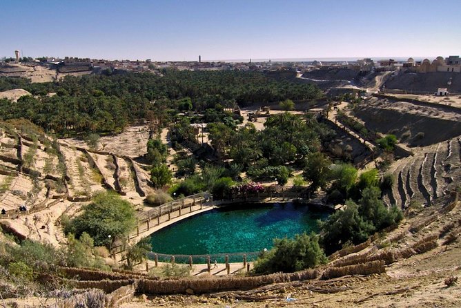 5 Days Tunisia Discovery Private Tour - Meals, Hotels, and Comfort on the Road