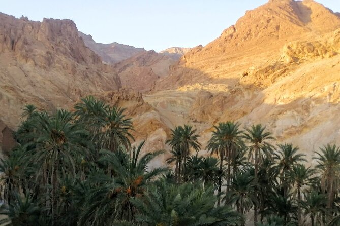 A Private Night at Desert Douz Tozeur - The people behind the trip