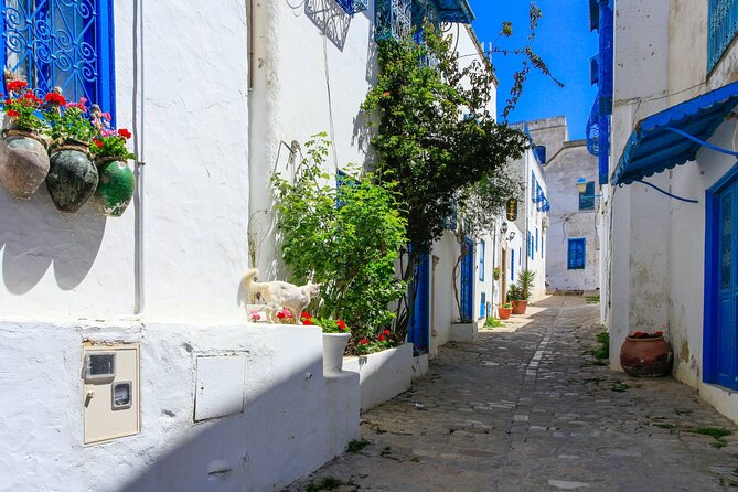 Ancient Carthage and Sidi Bou Said Half Day Tour with Lunch - Transport, group size, and overall value