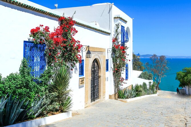 Ancient Carthage and Sidi Bou Said Half Day Tour with Lunch - The Baths of Antoninus: the strongest Carthage stop