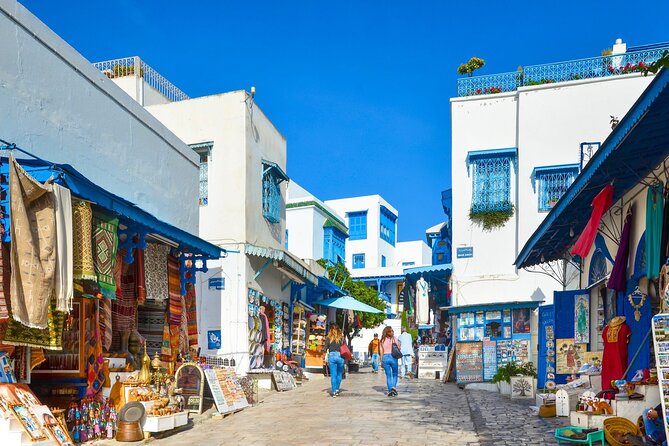 Bardo Museum with Medina, Carthage and Sidi Bou Private Tour - Why this private Tunis tour works