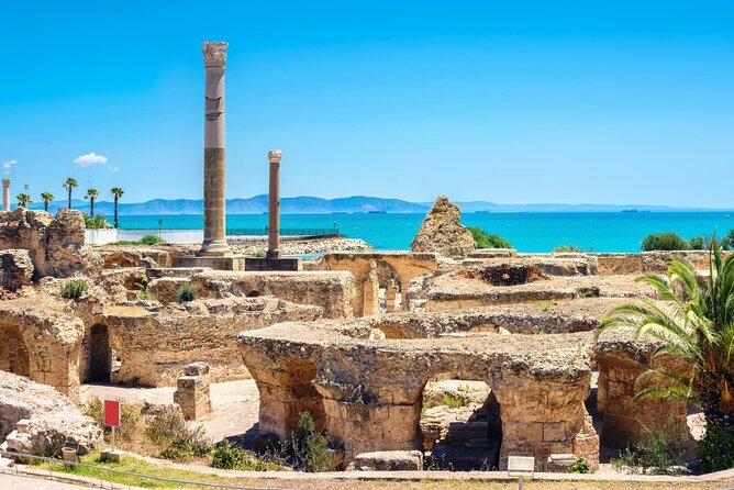 Bardo Museum with Medina, Carthage and Sidi Bou Private Tour - The Medina of Tunis: lanes that reward patient walking