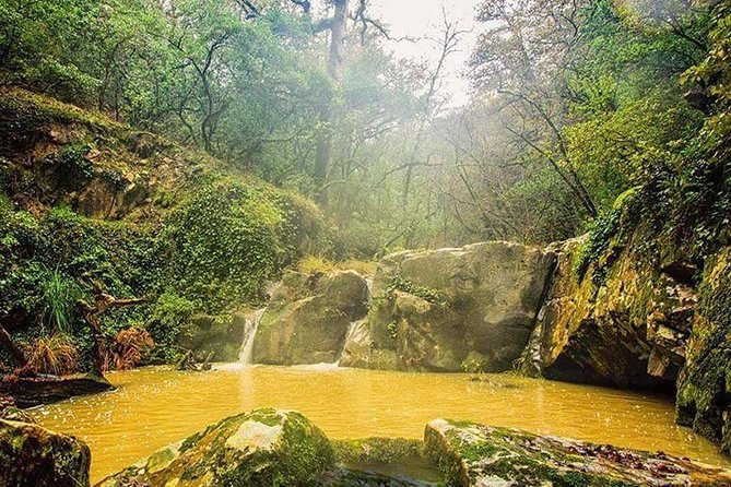 Bulla Regia and Beni Mtir Cascade Daytrip from Tunis - Why Bulla Regia is worth the long ride from Tunis
