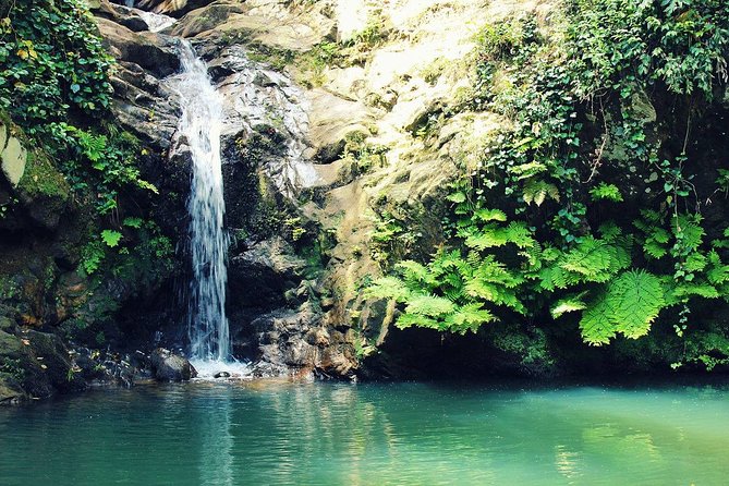 Bulla Regia and Beni Mtir Cascade Daytrip from Tunis - Language, guide quality, and the value of explanation