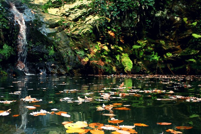 Bulla Regia and Beni Mtir Cascade Daytrip from Tunis - Cancellation and weather considerations