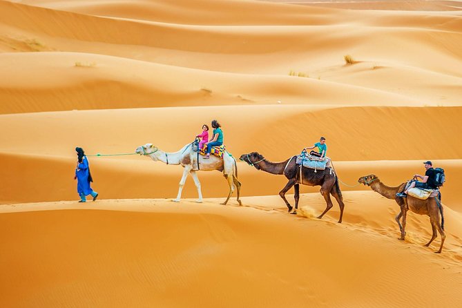 Camel & Quad Combo In Douz Sahara Desert - Leaving Douz at 8:00 a.m.