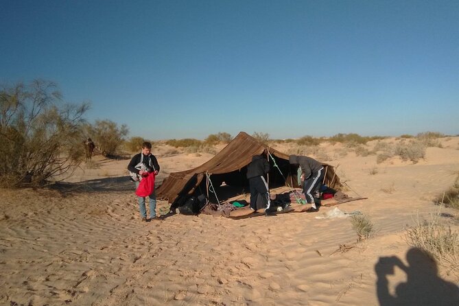 Camel ride and 1 night in the desert - Meeting your cameleer and mounting the dromedary