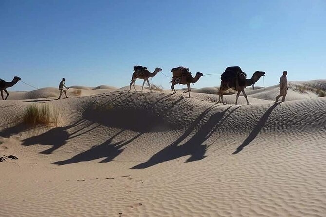 Camel ride and 1 night in the desert - Reaching the desert camp for the night
