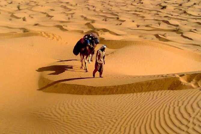 Camel ride and 1 night in the desert - Morning breakfast and the return to Tozeur
