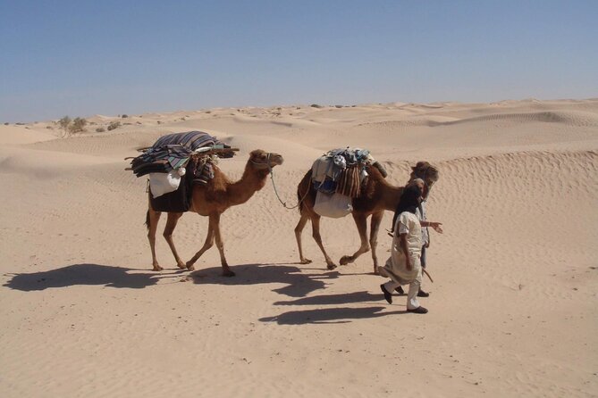 Camel ride and 1 night in the desert - Who will enjoy this Tozeur camel safari