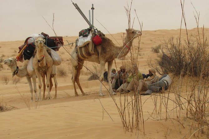Camel ride and 1 night in the desert - Riding through dunes as the light changes