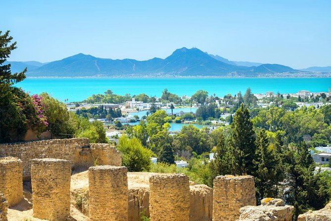 Carthage, Bardo Museum, Sidi Bou Said and Medina Private Day Tour - Key points to know before booking