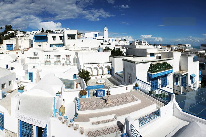 Carthage, Bardo Museum, Sidi Bou Said and Medina Private Day Tour - The Medina of Tunis: markets, mosques, and useful context