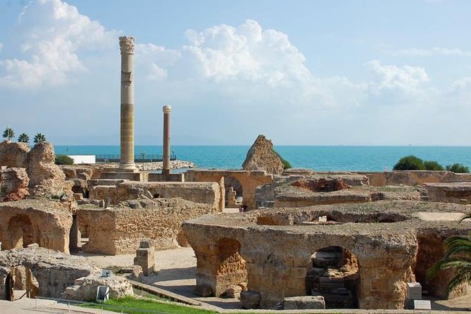 Carthage, Bardo Museum, Sidi Bou Said and Medina Private Day Tour - Private car, guide quality, and the pace of the day