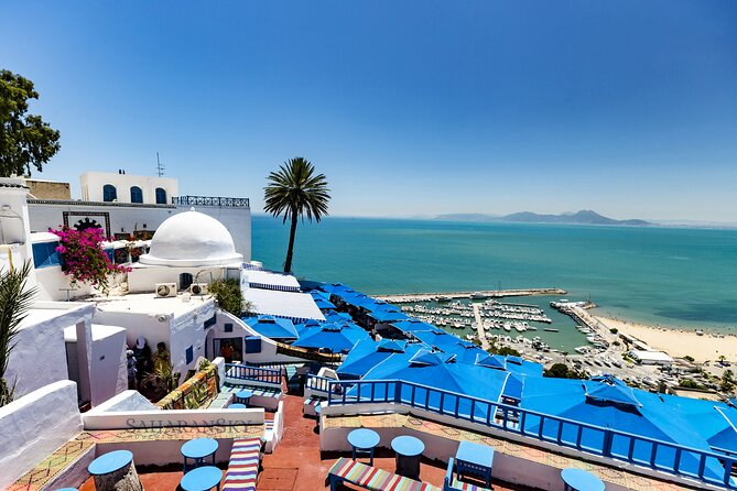 Whitewashed walls and blue shutters above the harbour at Sidi Bou Said