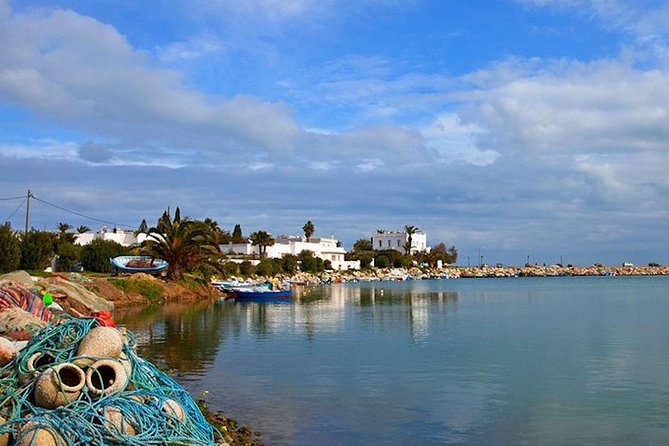 Carthage Discovery Half-Day Tour with Licensed Guide - What the $94.90 price includes