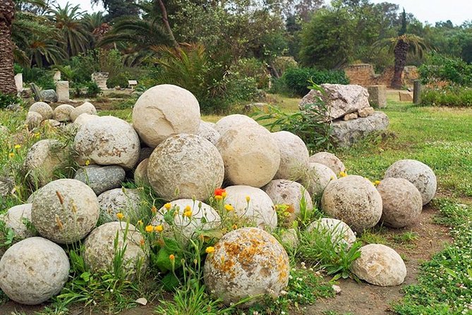 Carthage Discovery Half-Day Tour with Licensed Guide - The guide can add Tunisia beyond the ruins