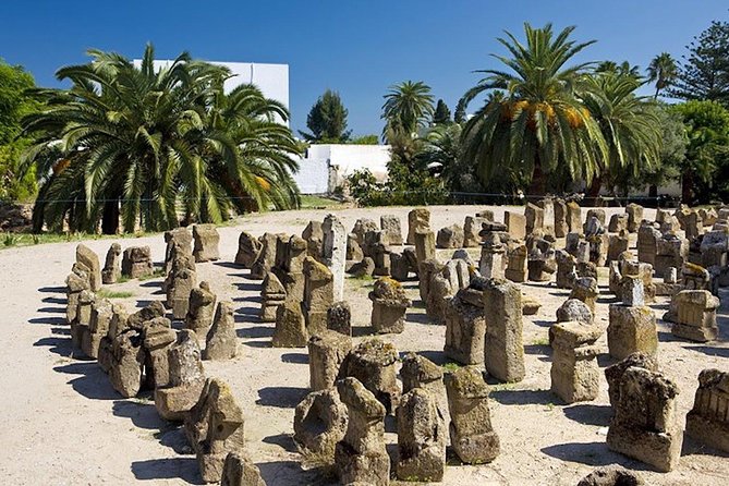 Carthage Discovery Half-Day Tour with Licensed Guide - The Tophet, Carthage’s most troubling site