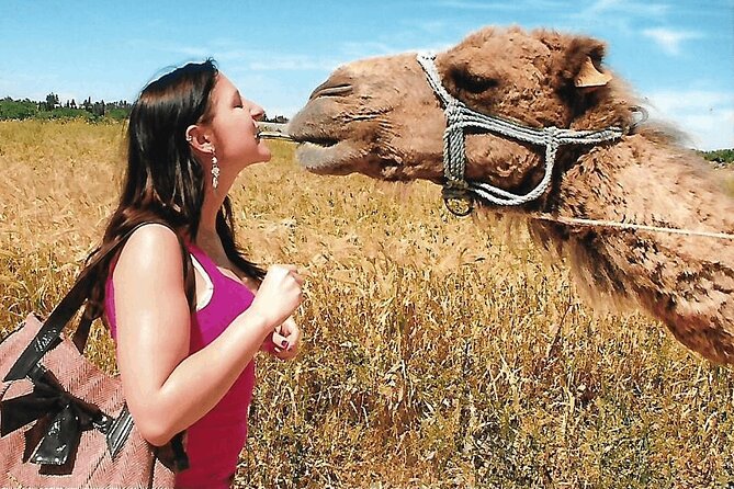 Cultural Experience of Bedouin Village in Mahdia - A camel ride near Mahdia, with a cultural stop afterward