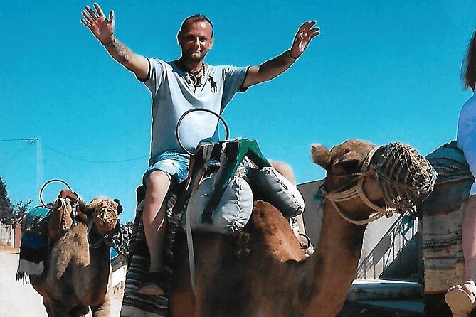Cultural Experience of Bedouin Village in Mahdia - My practical verdict on this Mahdia outing