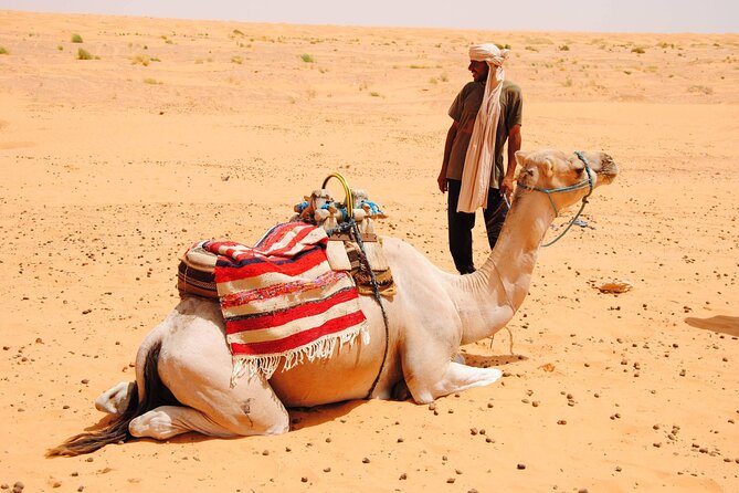 Day Trip in Ksar Ghilane with Lunch and Pickup - The Roman fort 7 kilometers from the oasis