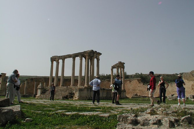 DAY TRIP TO Dougga & Bulla Regia , DEPARTURE FROM Tunis - Is $175.29 a fair price?