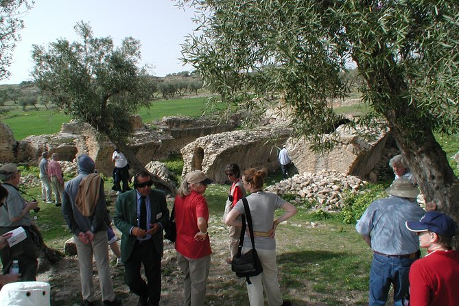 DAY TRIP TO Dougga & Bulla Regia , DEPARTURE FROM Tunis - Practical details that matter