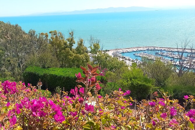 Daytrip Carthage Sidi Bousaid Bardo and Tunis Medina - Why this full-day route works