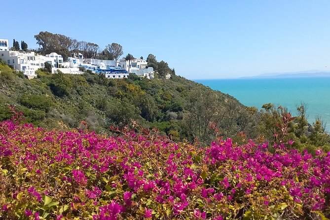 Daytrip Carthage Sidi Bousaid Bardo and Tunis Medina - The Tunis Medina rewards careful walking