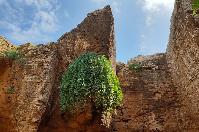 Daytrip to Kerkouen Unesco Site Kelibia and Houaria Caves - The drive, vehicle, and private format