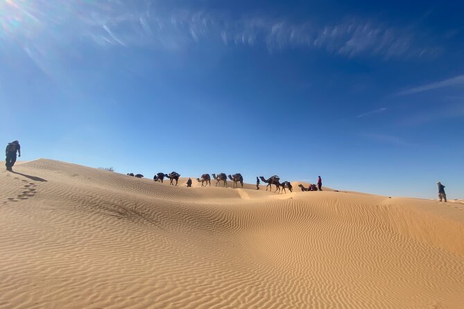 Desert tours and adventurous camel trekking through the Sahara - Leaving Djerba for the Gate of the Desert
