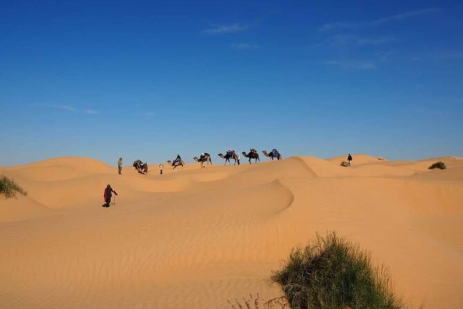 Desert tours and adventurous camel trekking through the Sahara - Six nights moving through open sand
