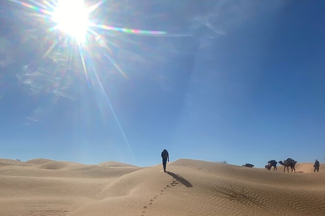Desert tours and adventurous camel trekking through the Sahara - Is $1,110.18 a fair price?
