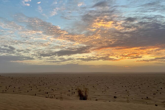 Desert tours and adventurous camel trekking through the Sahara - The ferry back across the Mediterranean