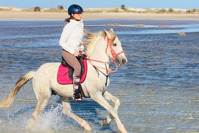 Discovery ride on horseback or camel 2h30 - Leaving the hotels behind in Aghir