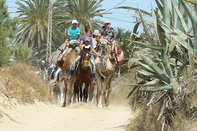Discovery ride on horseback or camel 2h30 - How the pace works for different riders