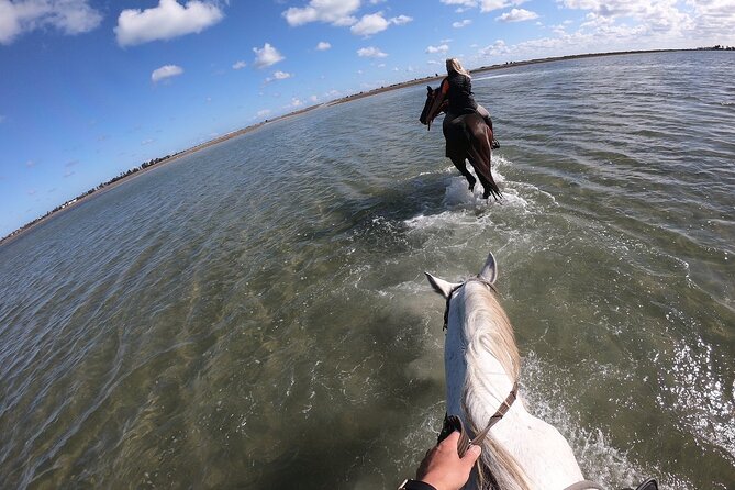 Discovery ride on horseback or camel 2h30 - What the guides and animal care add