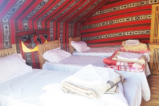 Douz Overnight Camp Stay in Sahara Desert with Dinner By Camel - What seven hours on a camel really feels like