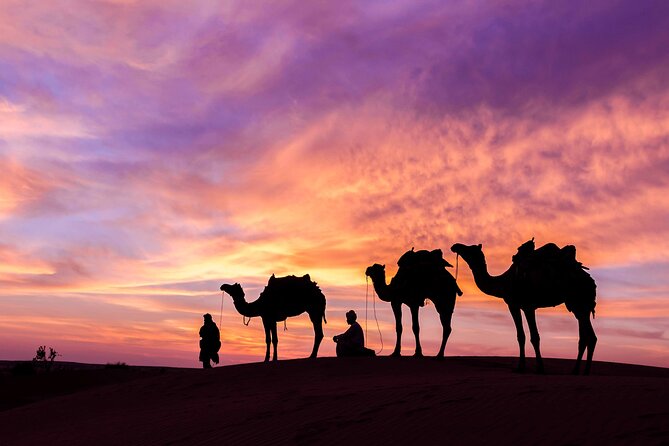 Douz Overnight Camp Stay in Sahara Desert with Dinner By Camel - Sleeping beneath the Saharan sky